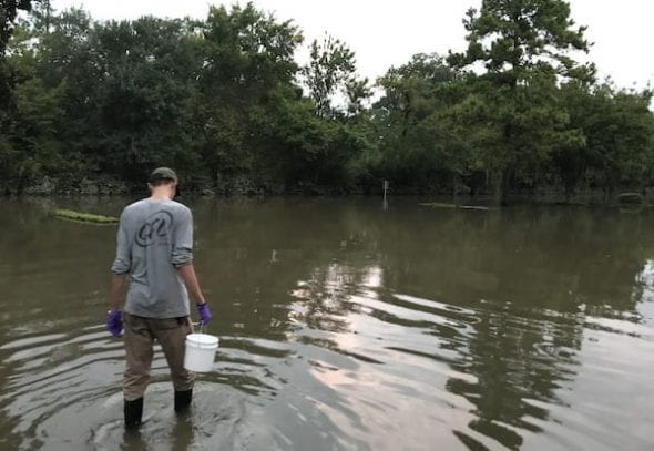 Rice graduate student Seth Pedersen collects a water sample near Cypress Creek. A task force at the university is looking for ways to coordinate collaborative environmental research. Photo by Qilin Li