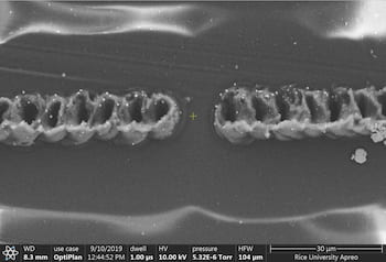 A scanning electron microscope image shows two traces of laser-induced graphene on a polyimide film. A laser mounted to the microscope was used to burn the patterns into the film. The technique shows promise for the development of flexible electronics. (Credit: Tour Group/Rice University) 