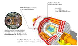 A graphic look at the Compact Muon Solenoid (CMS), part of the Large Hadron Collider. CMS detects the speed and paths of particles emitted by colliding protons. The detectors record and transmit the data that scientists later parse for evidence of unique or unknown particles that could provide new knowledge about the universe. (Credit: CERN)